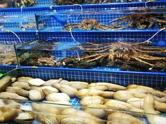 -板桥海鲜广场(文明东店)