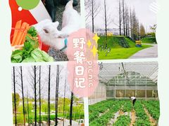 -前小桔亲子创意农场·草莓采摘·露营烧烤