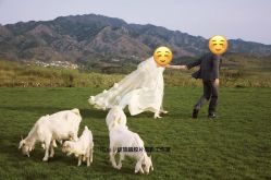 -绽放摄胶片摄影工作室
