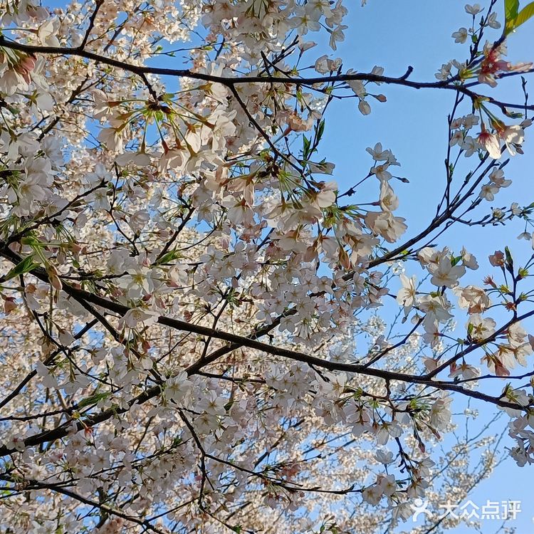 趁着蓝天去就对了