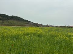 -长岛大黑山岛