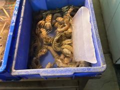 -龙眼南白粥六顺白粥