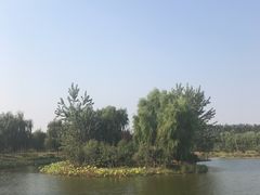 -东郊湿地公园