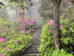 -南岳衡山风景名胜区