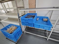 -来噻布布 Lets BUBU
