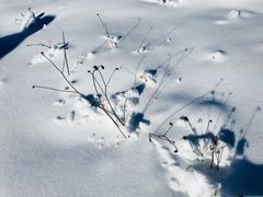 -太子岭滑雪场
