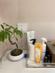 点击看大图 -Wax Brow蜜蜡脱毛美甲美睫眉吧