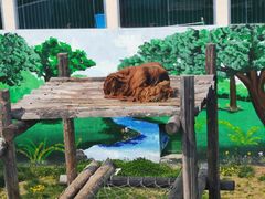 -西霞口神雕山野生动物世界