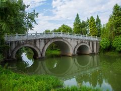 -洋湖国家湿地公园