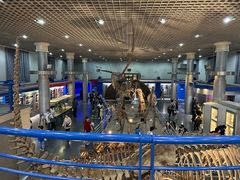 -国家自然博物馆