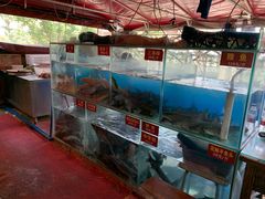 水产区-鲜椒鱼·雅安地标性美食