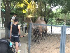 -长白岛森林公园