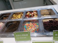 配料-Salud撒露欧洲冻酸奶(北苑上品店)