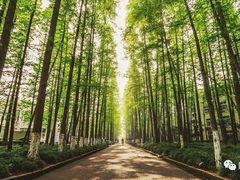 -朱阿根烧饼(赤峰路店)