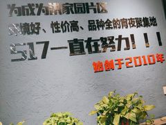 -517烧烤·龙虾·海鲜大排档(万象都荟店)