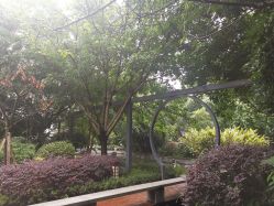 -莲生母婴月子中心(清水河公园店)