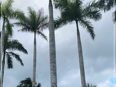 -石梅湾
