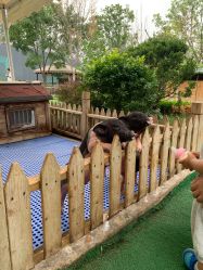 -萌宠亲子动物乐园(槐房万达店)