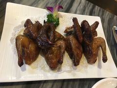 -鸽鸟轩(石岐店)