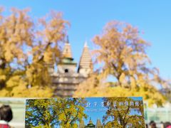 -北京石刻艺术博物馆(五塔寺)