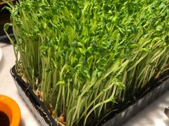 -煲宫猪肚鸡(晶品店)