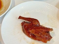 -柴门·头啖汤(天安千树店)