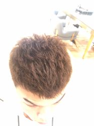 -YESIDO椰岛造型