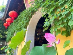 -惠山古镇·寄畅园