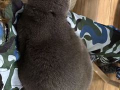 -春笙食堂.丼饭拉面寿司(GOGO新天地店)