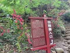 -山西通天峡景区
