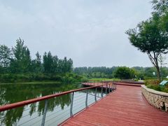 -东郊湿地公园