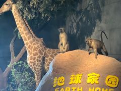 -扬州科技馆