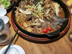 -老板恋上鱼(恒隆广场店)