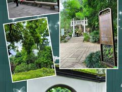 -西湖公园(鼓楼区)