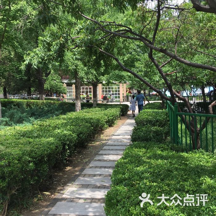 双榆树公园图片-北京公园-大众点评网