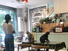 大堂-平行世界·猫咖(首经贸店)