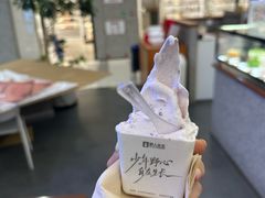 -野人先生Gelato(上海长宁龙之梦店)