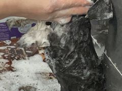 -贝利宠物医院·骨科·眼科·肿瘤转诊中心(南坪诊疗中心)