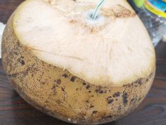 -琼海温泉鹅农家饭店