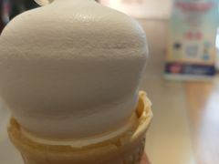 -DQ·蛋糕·冰淇淋(天通苑华联店)