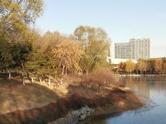 -大兴滨河森林公园