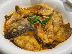 -华盛丰温州大排档(东三环南路店)