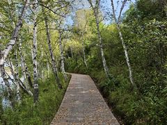 -御道口草原森林风景区