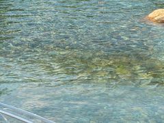 -上海海洋水族馆