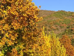 -北京十三陵国家森林公园蟒山景区