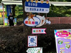 -苏州上方山国家森林公园