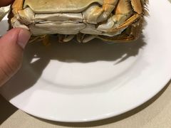 -王宝和酒家(黄浦店)