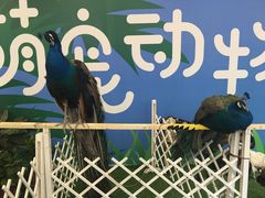 -万达广场(沈阳铁西店)