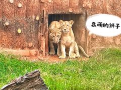 -昆明动物园