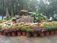 -岳麓山风景名胜区